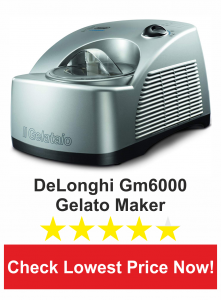 DeLonghi GM6000 Gelato Maker with Self-Refrigerating Compressor
